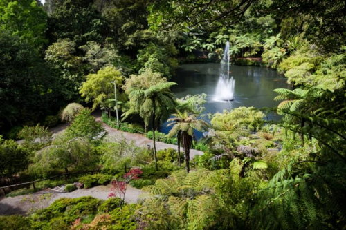 Pukekura Park and the Bowl of Brooklands